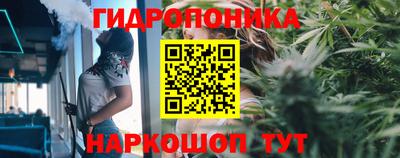 гидра Новокубанск