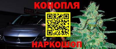 гидра Новокубанск
