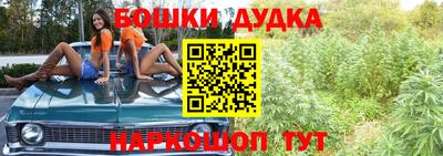 гидра Новокубанск
