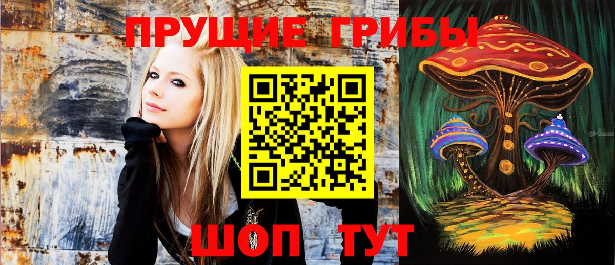 Галлюциногенные грибы Psilocybine cubensis Ступино