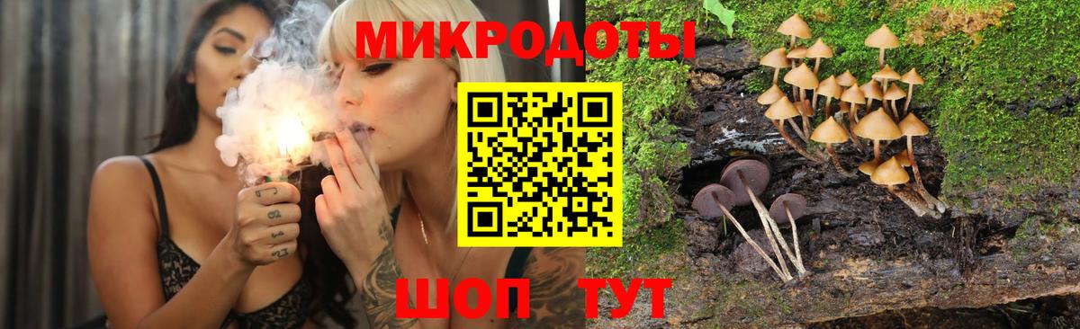 Ступино  Псилоцибиновые грибы GOLDEN TEACHER  Вход с VPN 